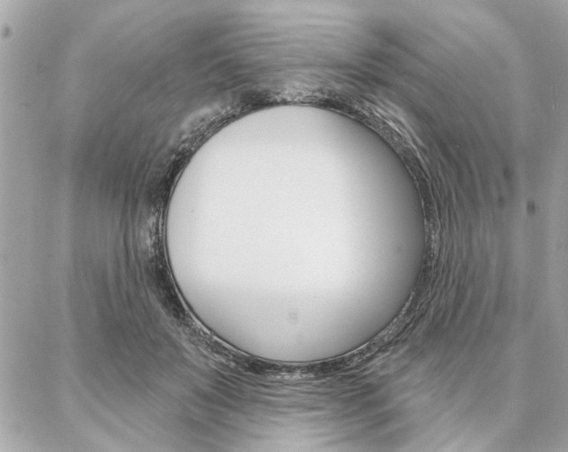 X0000087000503200704161229