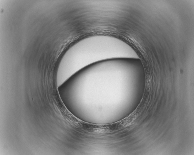 X0000087000504200704161229