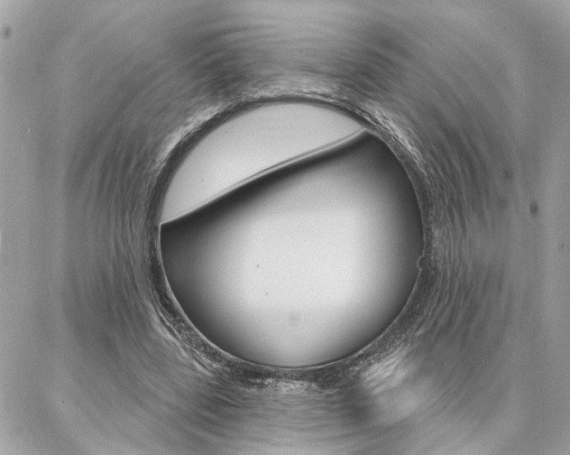 X0000087000539200704161228