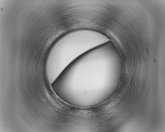 X0000087000542200704161228
