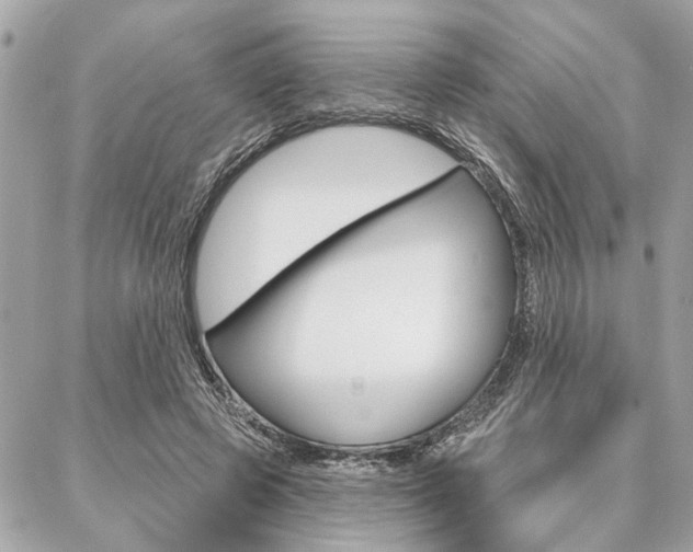 X0000087000545200704161228