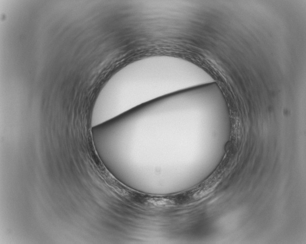 X0000087000557200704161228