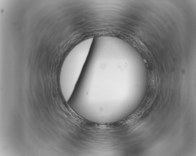 X0000087000565200704161228