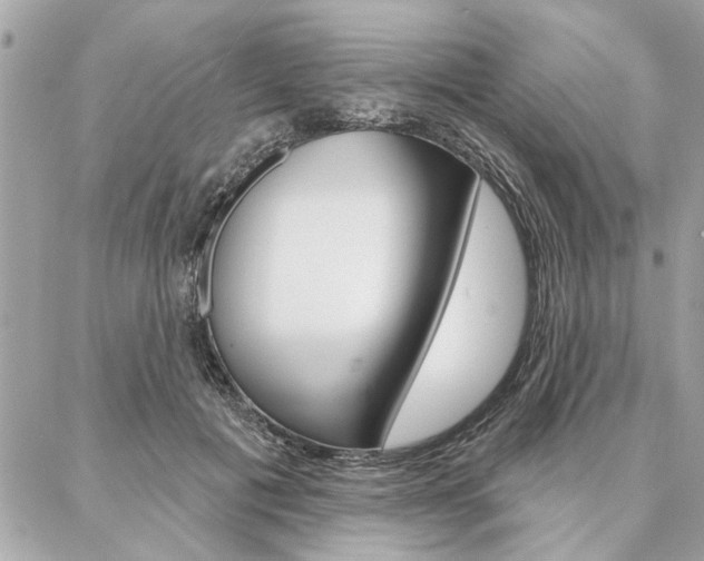 X0000087000601200704161227