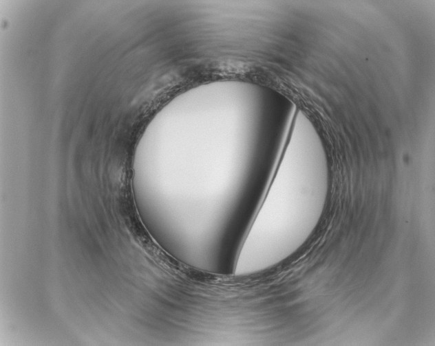 X0000087000608200704161227