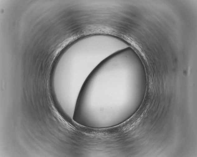 X0000087000629200704161226