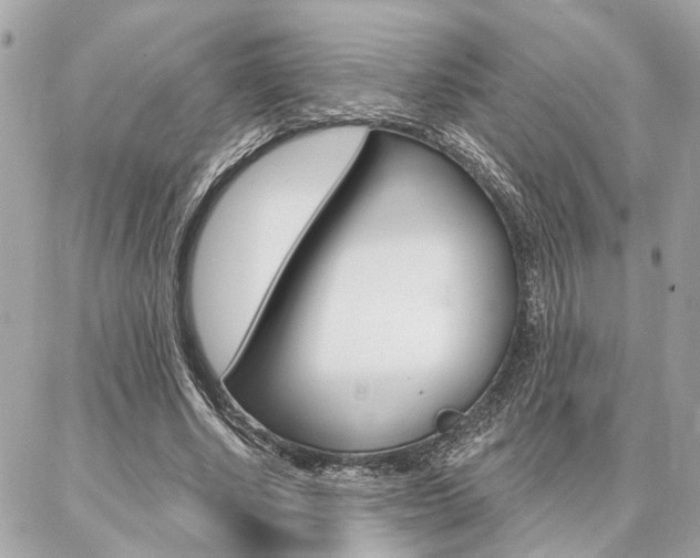 X0000087000634200704161226