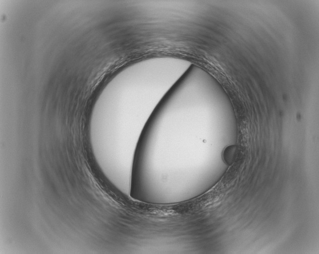 X0000087000642200704161226