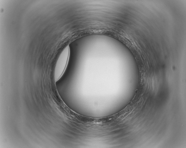 X0000087000647200704161226