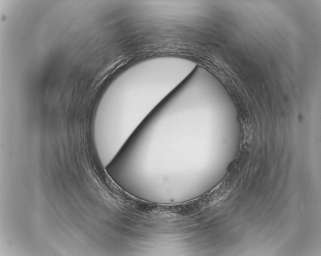 X0000087000648200704161226