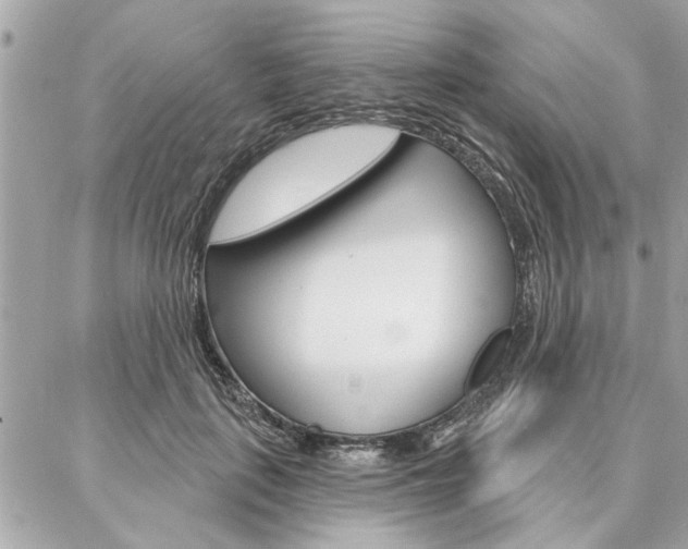 X0000087000651200704161226