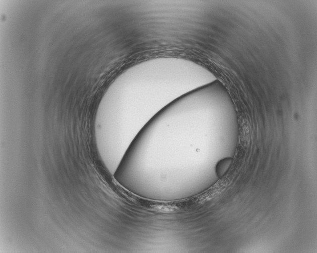 X0000087000654200704161227