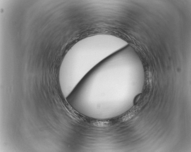 X0000087000664200704161227