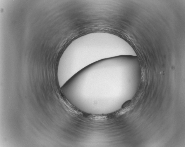 X0000087000670200704161227