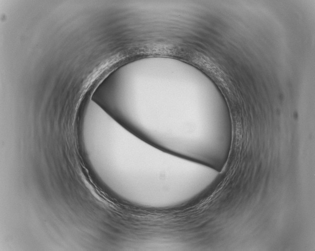 X0000087000674200704161226