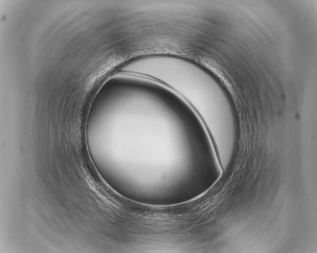 X0000087000677200704161226