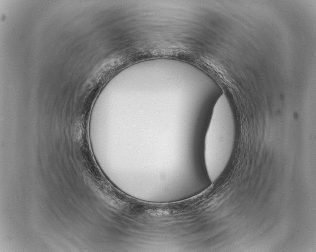 X0000087000687200704161226