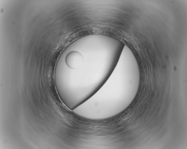 X0000087000698200704161226