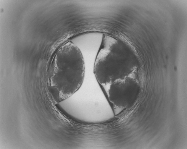 X0000087000721200704161224