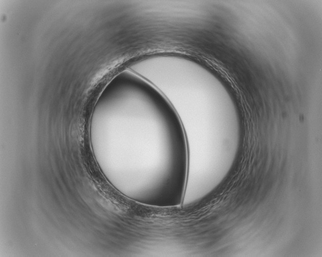 X0000087000732200704161224