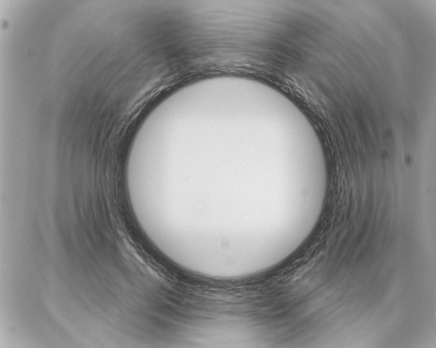 X0000087000744200704161225