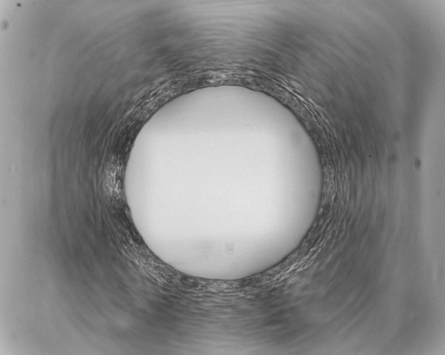 X0000087000770200704161224