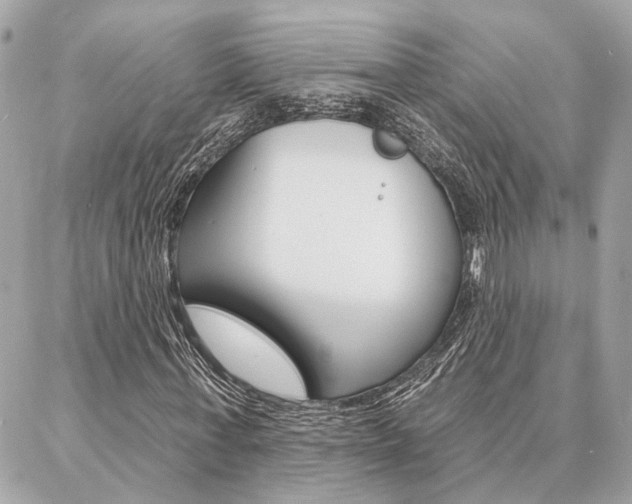 X0000087000771200704161224
