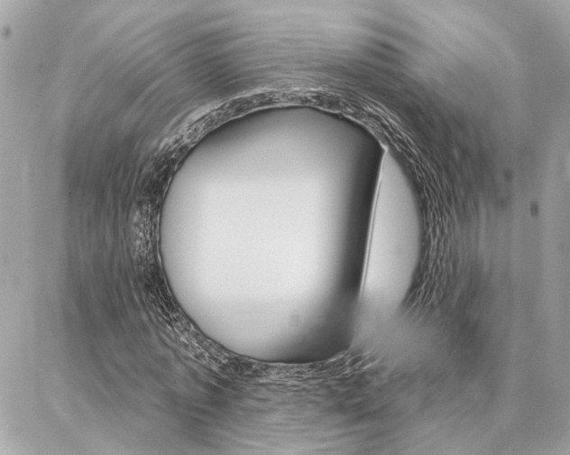 X0000087000773200704161224