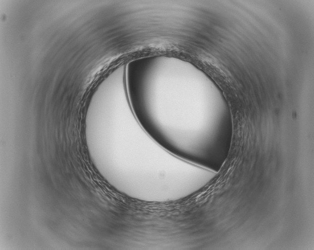 X0000087000776200704161224