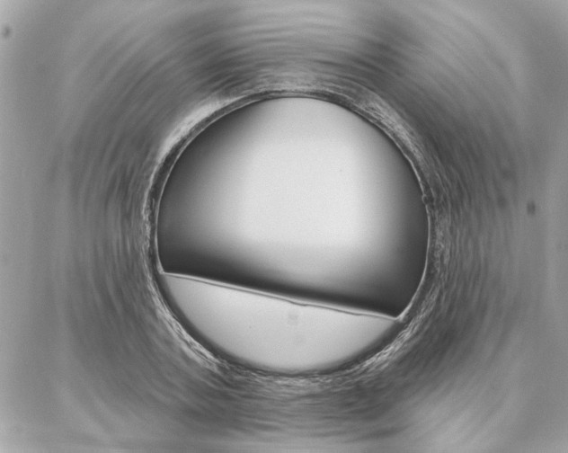 X0000087000787200704161224