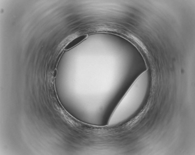 X0000087000793200704161224