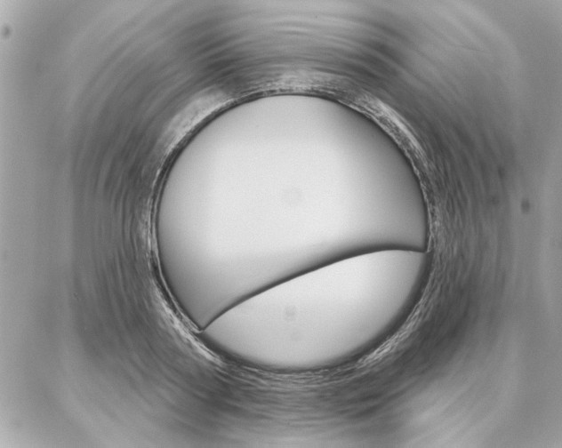 X0000087000794200704161224
