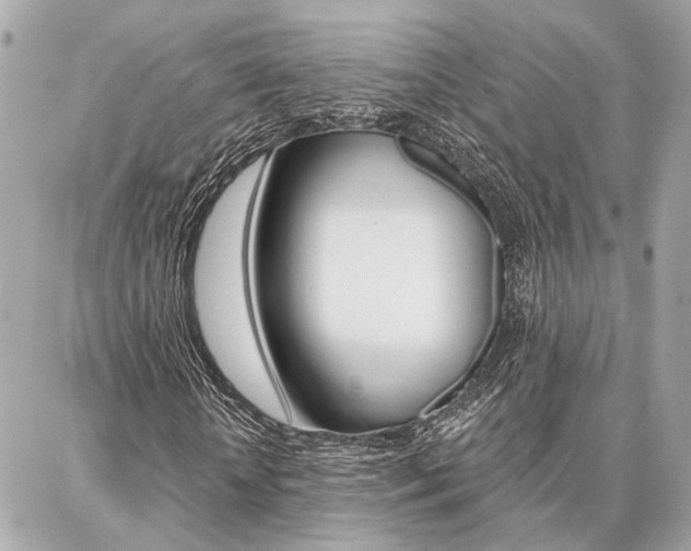 X0000087000818200704161223