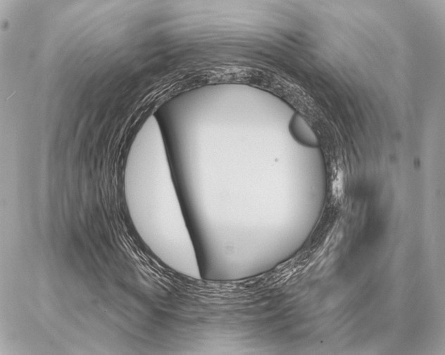 X0000087000819200704161223