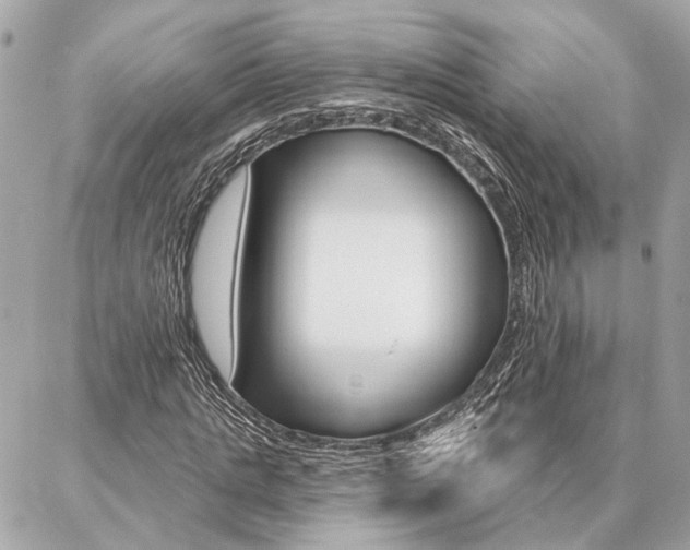 X0000087000821200704161223