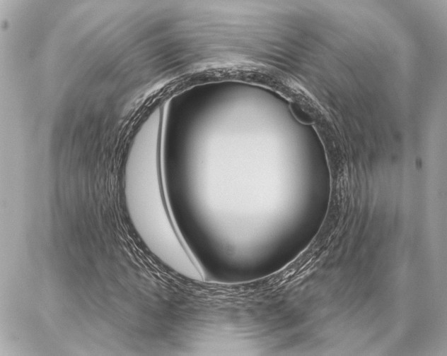 X0000087000822200704161223