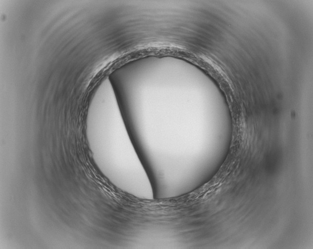 X0000087000823200704161223