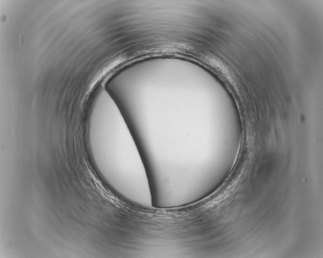 X0000087000827200704161223