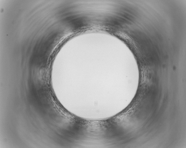 X0000087000828200704161223