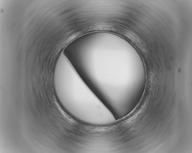 X0000087000841200704161223