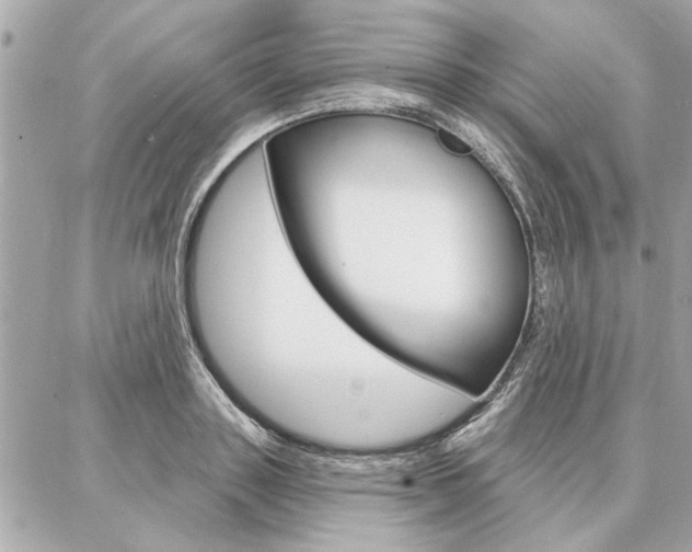 X0000087000843200704161223