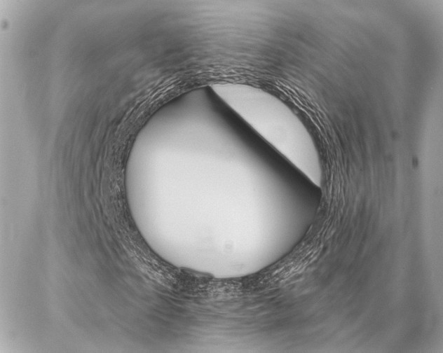 X0000087000865200704161223