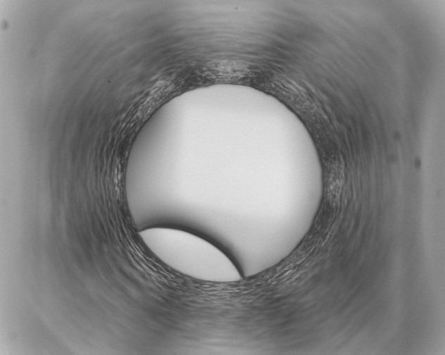 X0000087000866200704161223