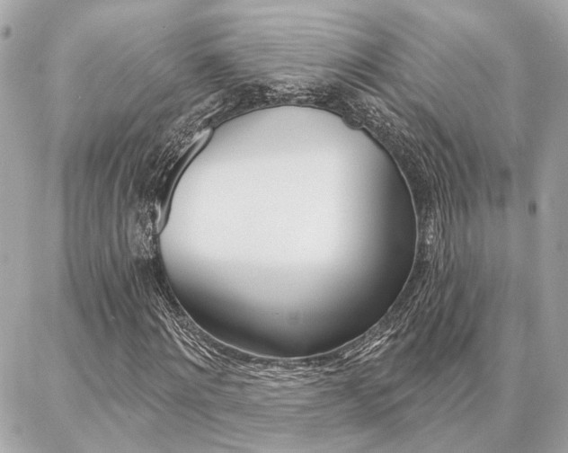 X0000087000868200704161223