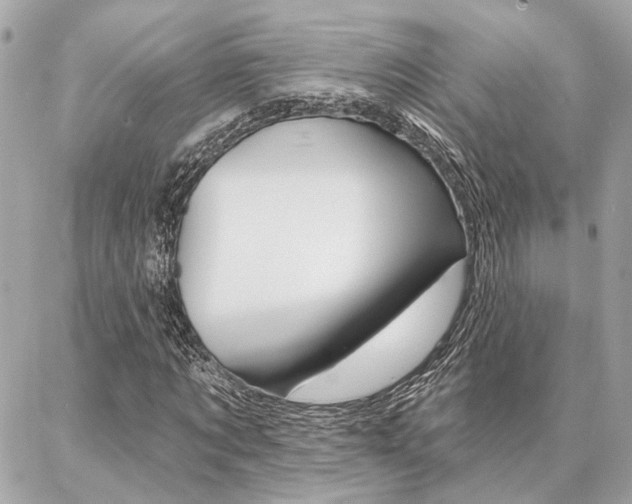 X0000087000869200704161223