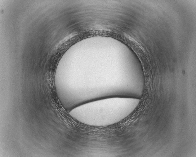 X0000087000870200704161223