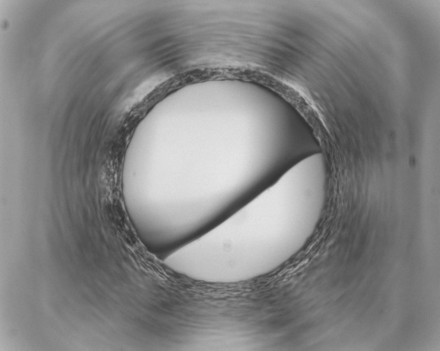 X0000087000871200704161223