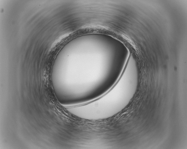 X0000087000872200704161223