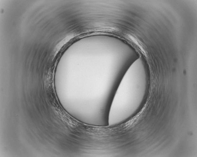 X0000087000875200704161222