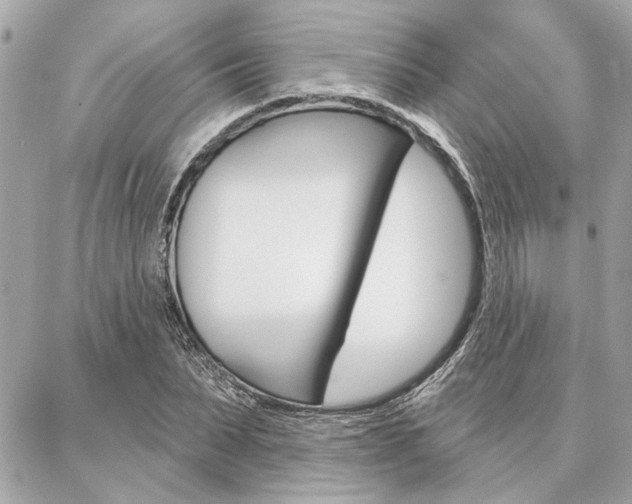 X0000087000879200704161222